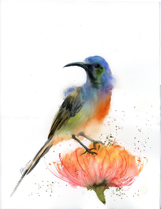 Sunbird on flower