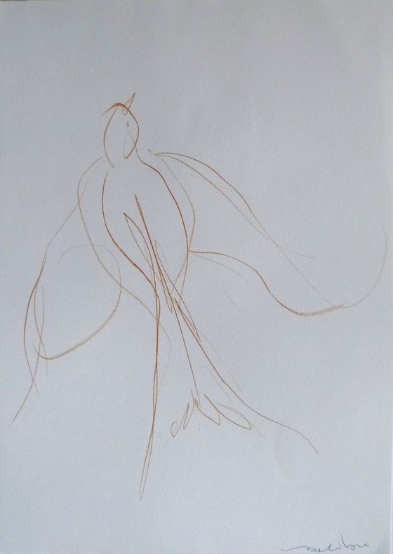 The Birds C20-29