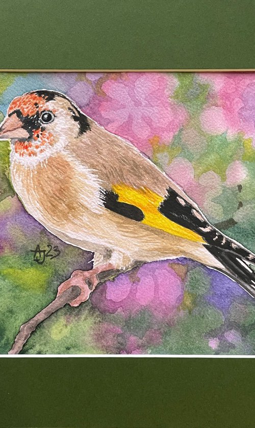 Goldfinch by Jolanta Czarnecka
