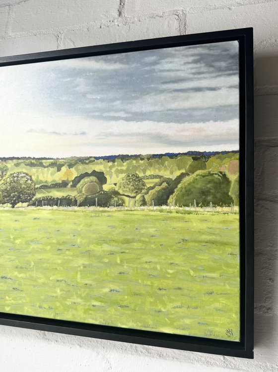 Suffolk Summer Landscape