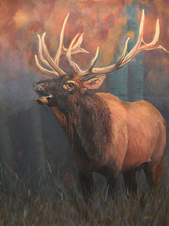 Wapiti Bull Elk