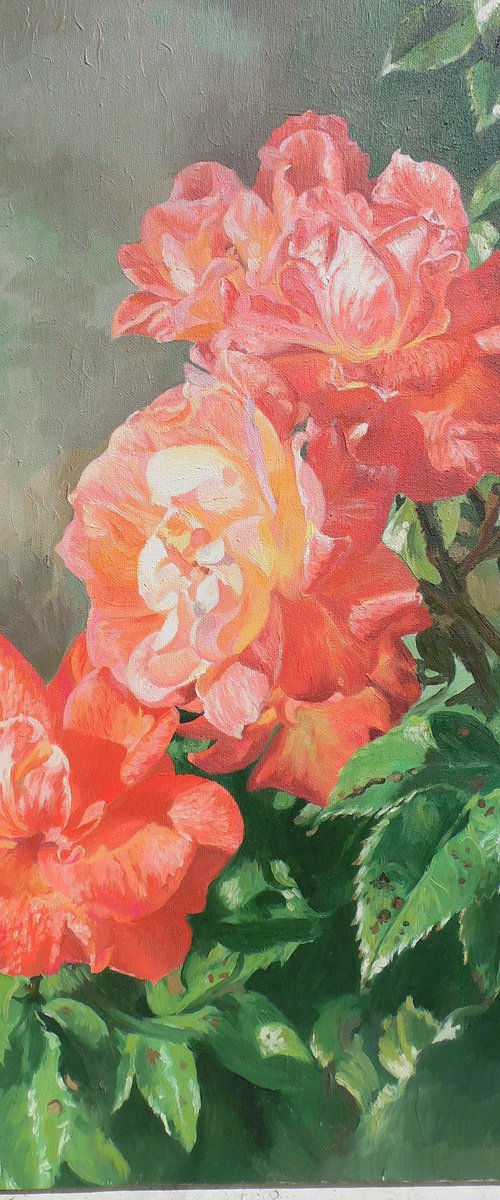 Red roses by Vivien Choumissa