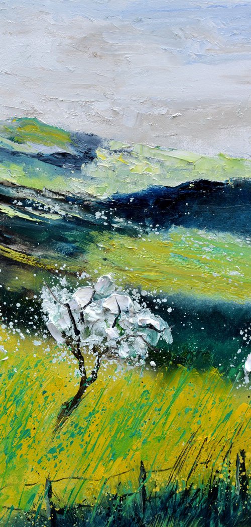 Green spring by Pol Henry Ledent