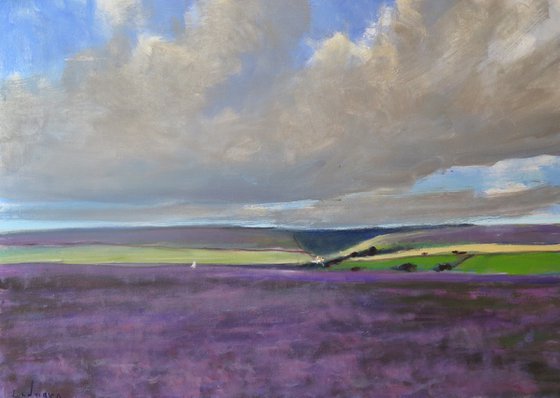 Goathland Heather