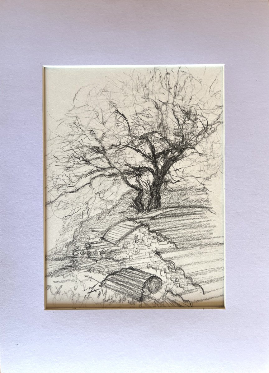 Impressionistic Landscape Pencil Drawing By Maxence Ma, 8 X 11", Le Pommier Du Fevrier, Original Artwork
