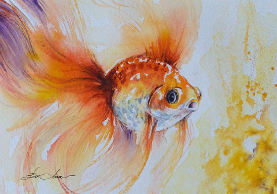 Gold fish. Set of 3 pictures !