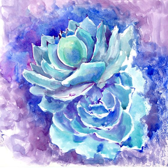 Succulent