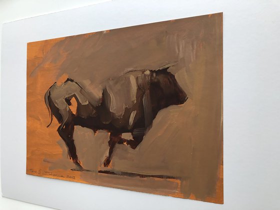 Toro Essay II