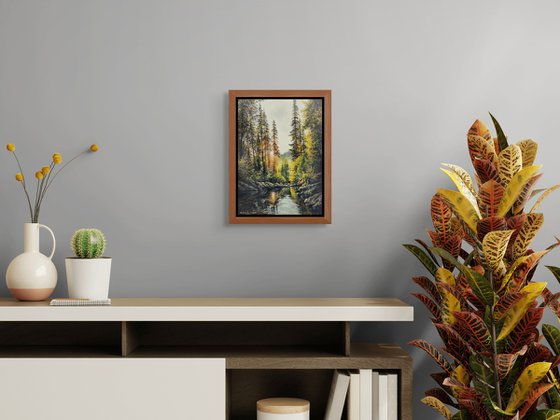 Picturesque Pine Wood