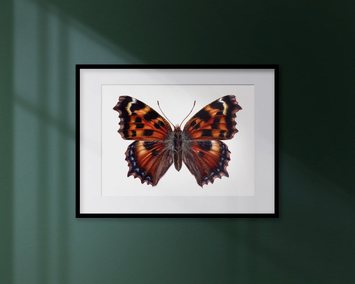 Photorealistic Animal Watercolour By Katya Shiova, 16 X 12", Nymphalis Polychloros, Original Artwork