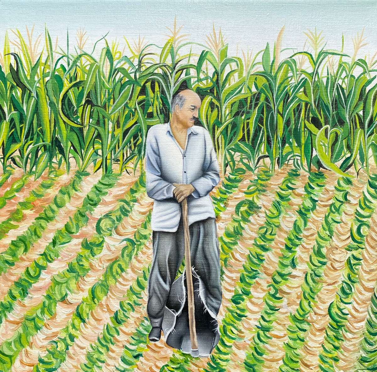 Cornfields by Miret Habib