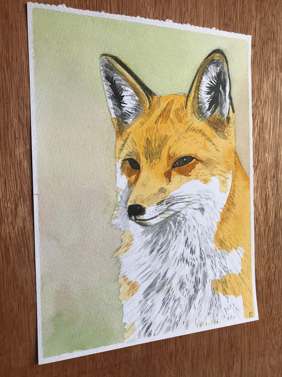 Fox