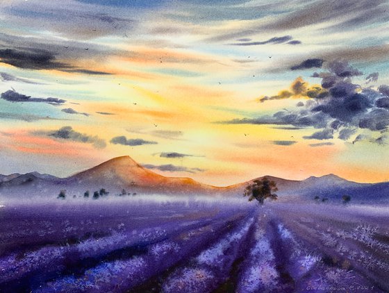 lavender field #2