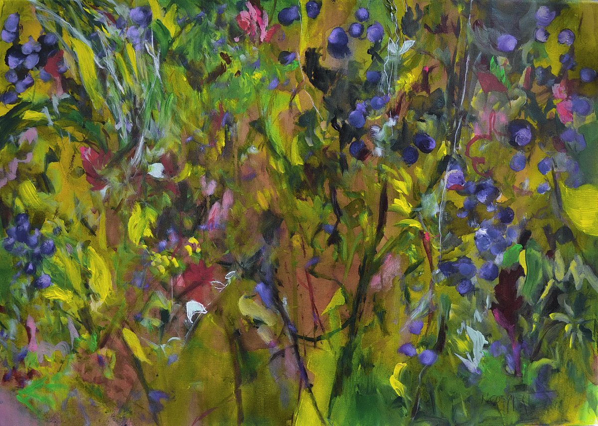 Blueberry Fields by Karin Goeppert