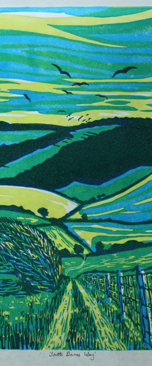 South Downs Way e.v. 11/45 by Rosalind Gregoire