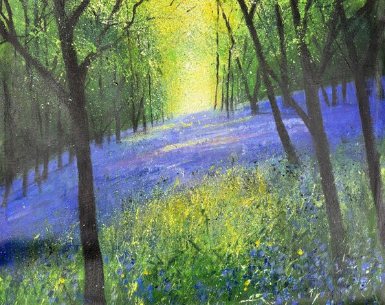 Carpet of Bluebells