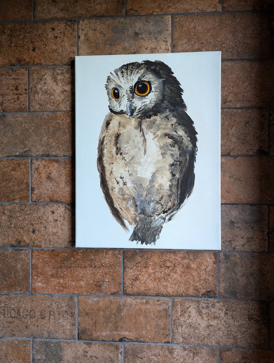Eurasian Scops Owl