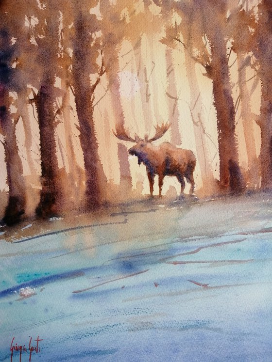 moose