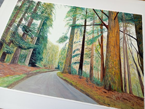 New Forest - 11.75x16.5 in