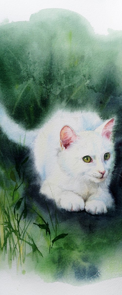 White kitten sitting in the grass by Olga Beliaeva Watercolour