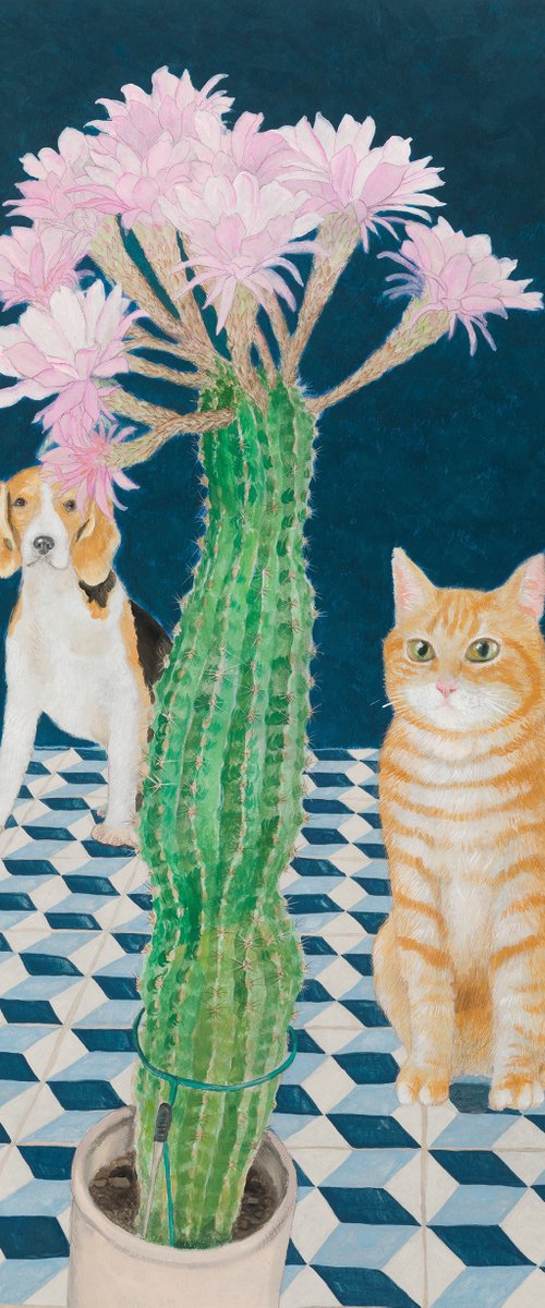 Cactus blooming fest by Natalie Levkovska