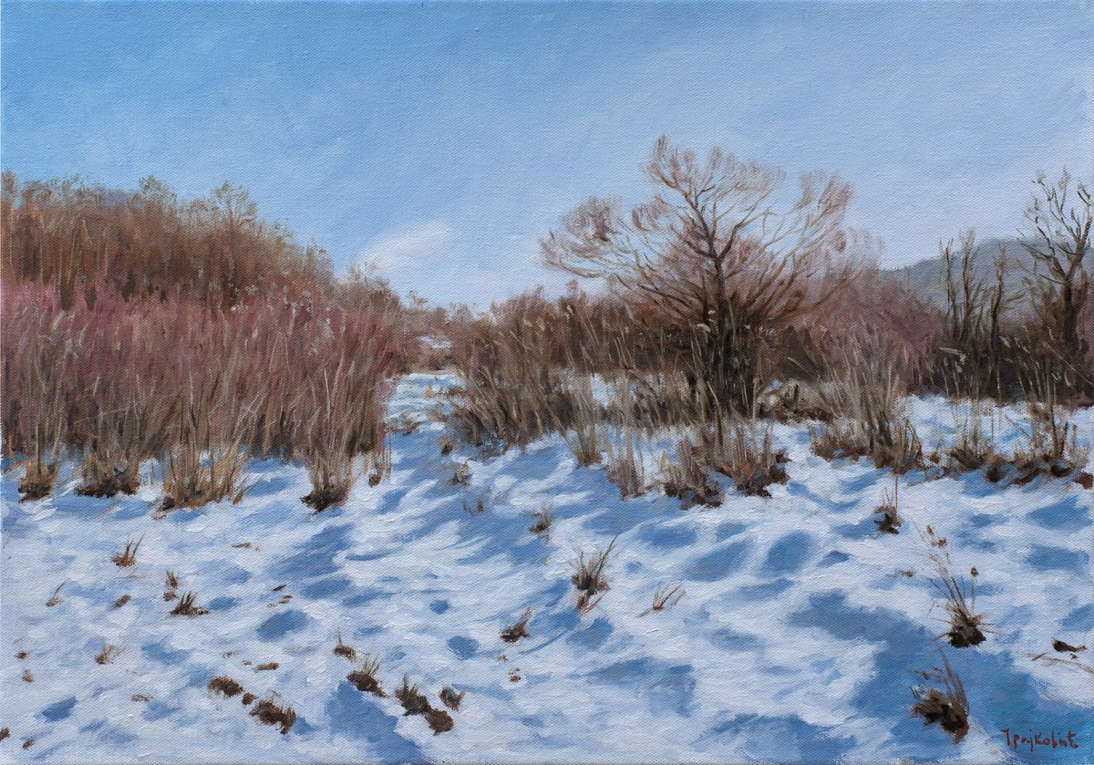 Impressionistic Landscape Oil Painting By Dejan Trajkovic, 20 X 14, Thicket Under The Snow, Original Artwork