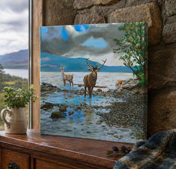 Deer Family at Loch Ness