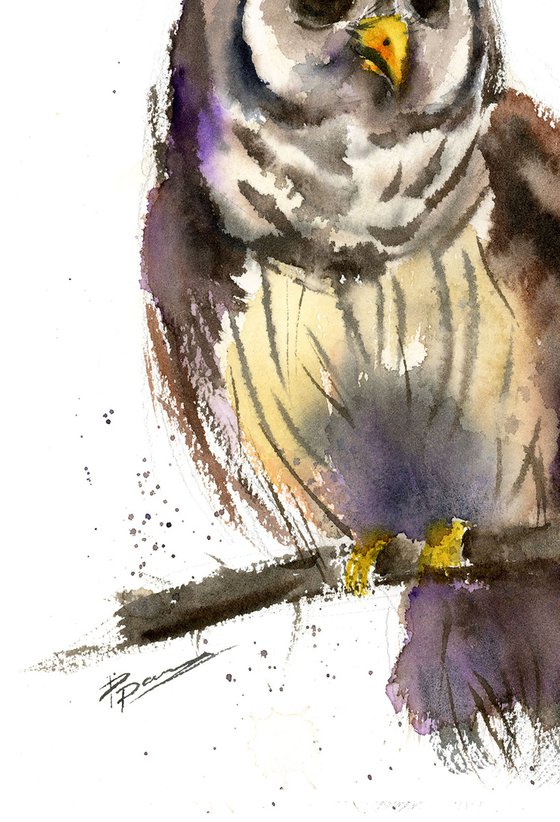 The OWL - sketch
