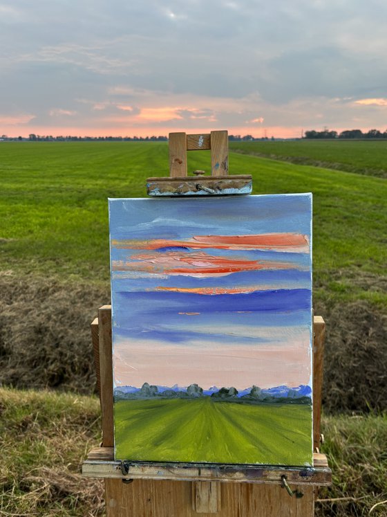 Sunset over the field. Plein air