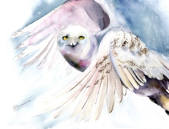 Flying Polar Owl