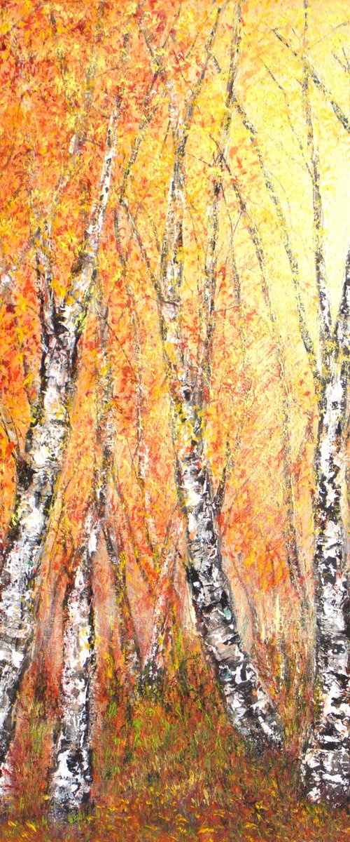 Autumnal birch trees by Ludmilla Ukrow