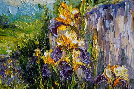 Irises in Bloom