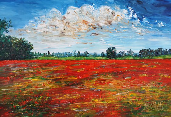 Red Poppy Field D 1