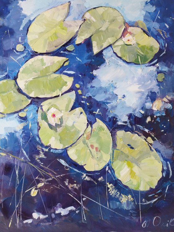 Water Lily