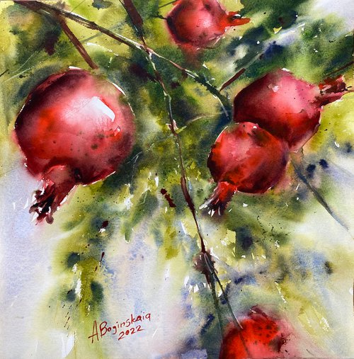 pomegranate 3 - watercolor painting by Anna Boginskaia