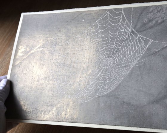 Spiderweb: Lace Doily