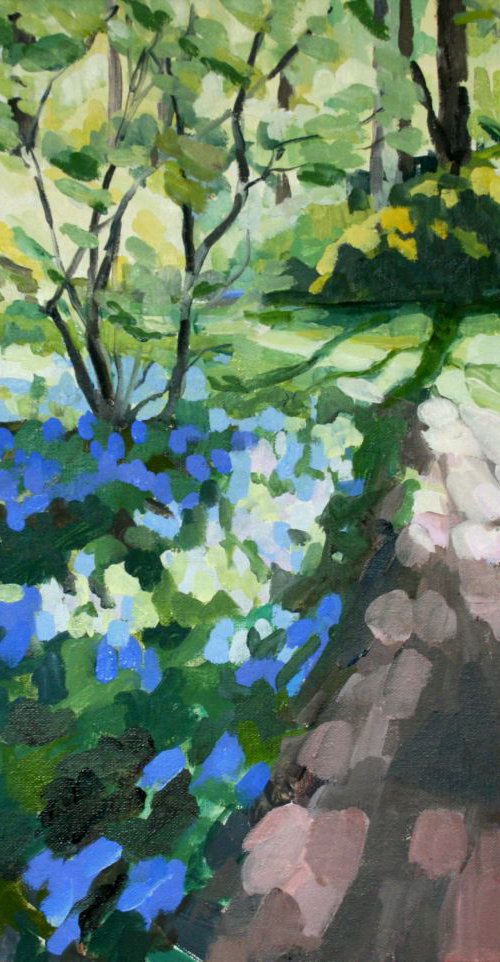 Bluebells in Isabella Plantation, Richmond Park by Katharine Rowe