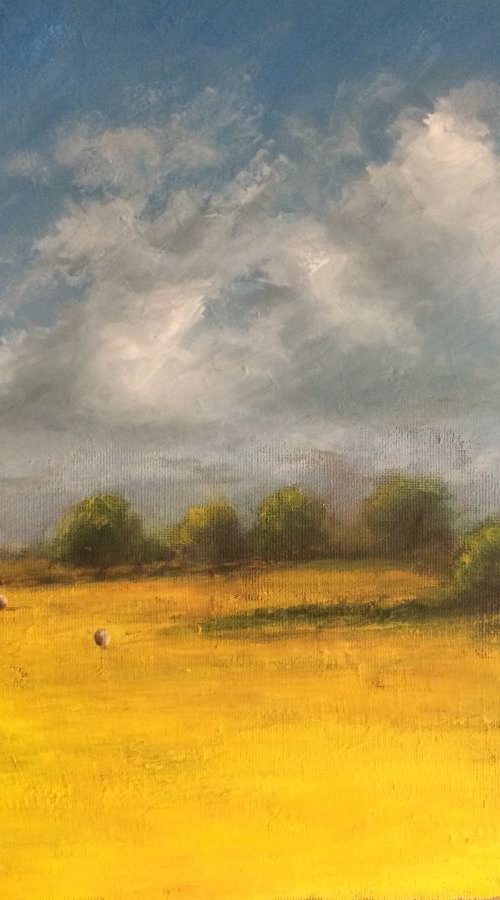 Yellow by Clare Hoath