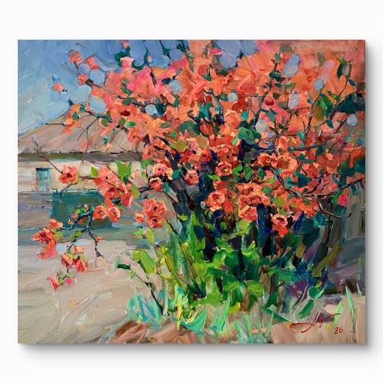 Quince in Bloom