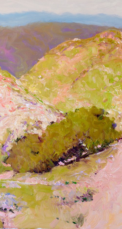 Mountains in South California by Suren Nersisyan