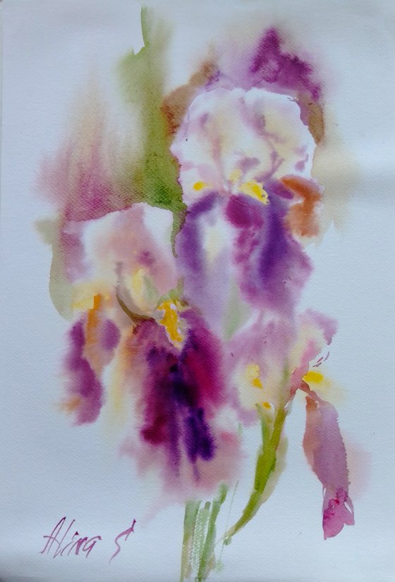 Purple irises