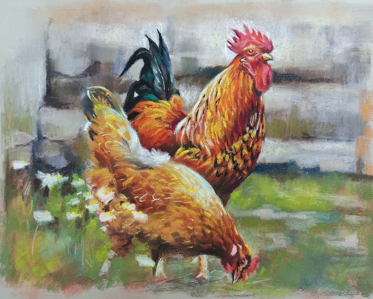 Chickens by Magdalena Palega