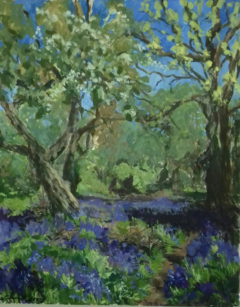 Down to the Bluebell Woods by Ann Kilroy