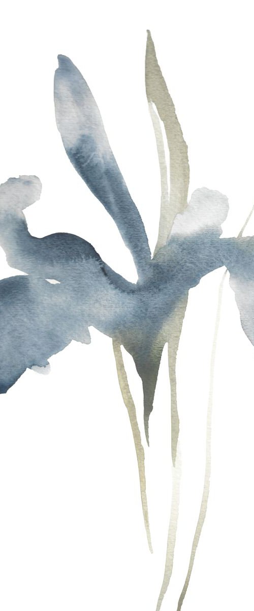 Iris No. 35 by Elizabeth Becker
