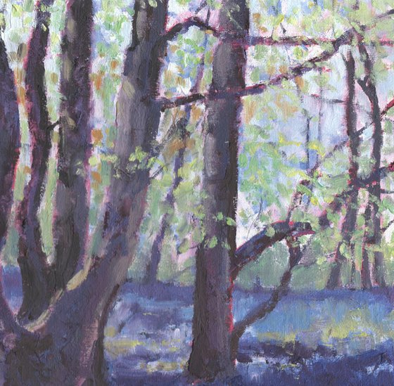 Abstract Bluebell Wood