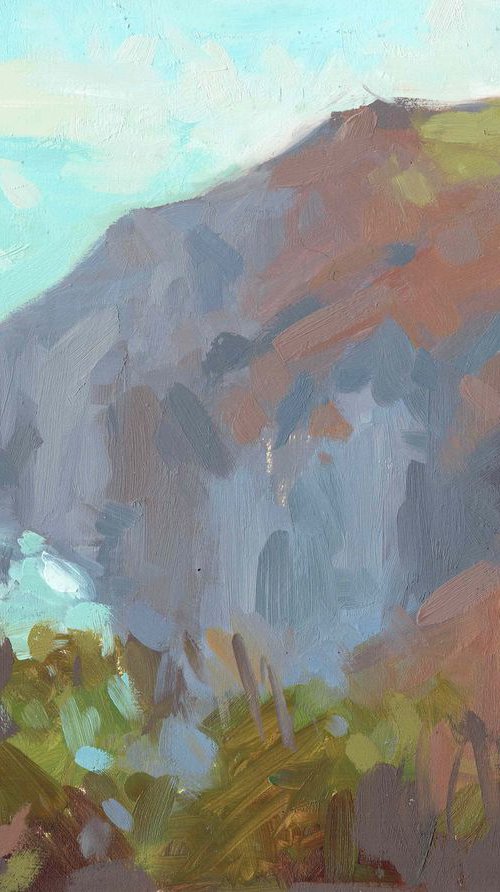 Highveer Cliffs Trentishoe by Louise Collis