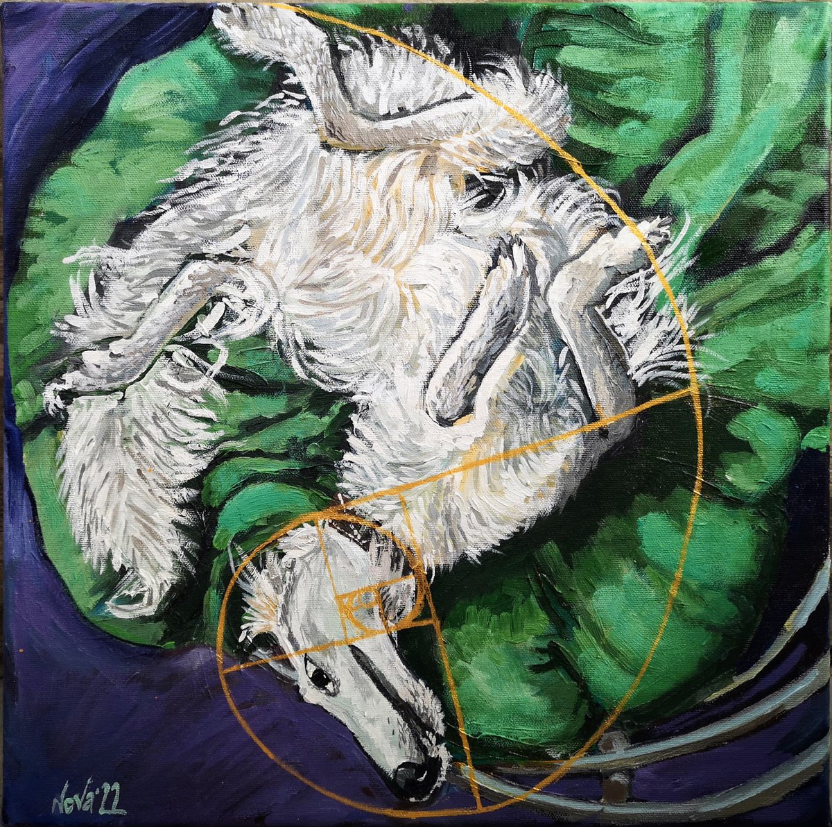 Golden Ratio By Jelena Nova, 16 X 16, Artwork For Sale On Artfinder