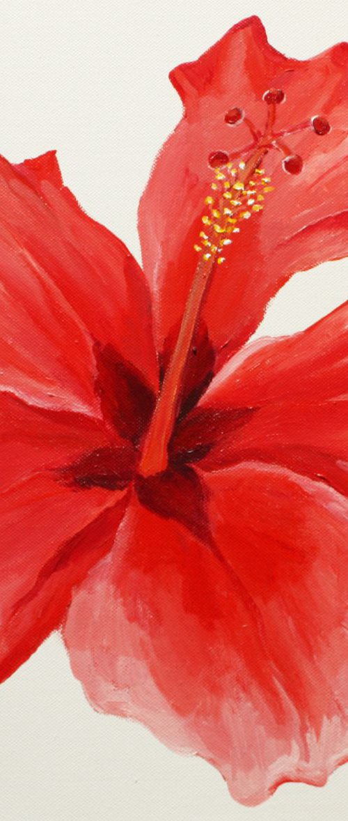 Red flower by Charlie Davies