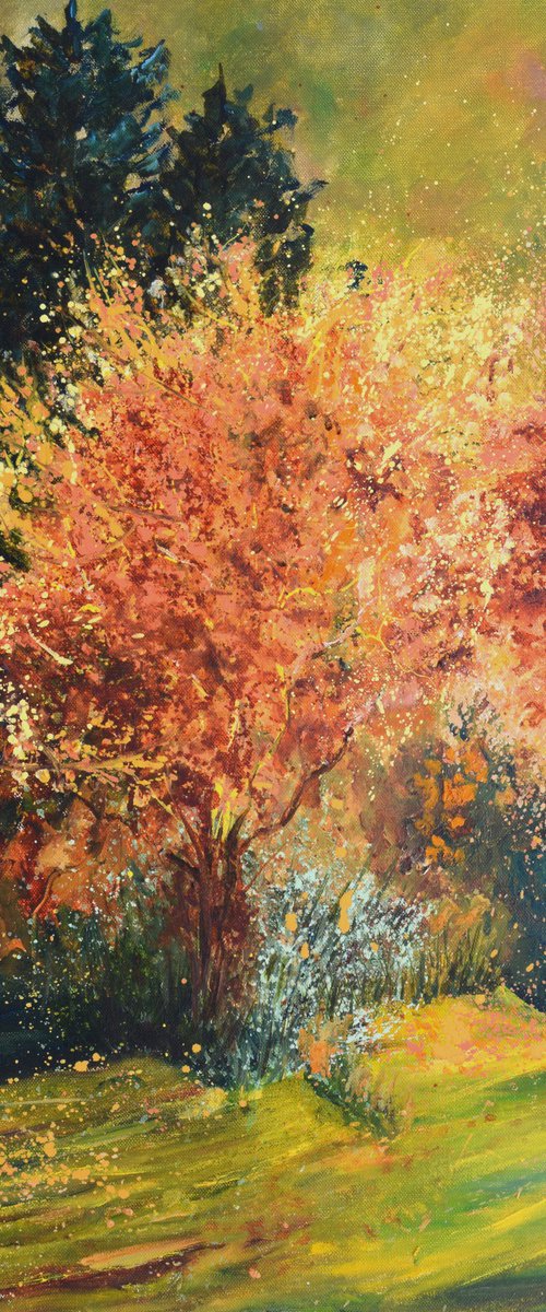 Orange bush - 79 by Pol Henry Ledent