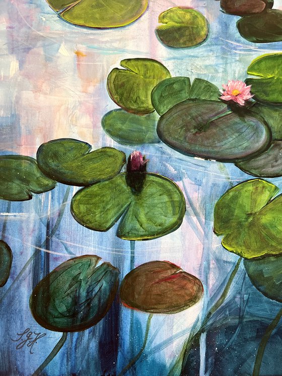 Water Lilies 6